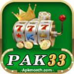 PAK33 Game