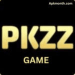 PKZZ Game